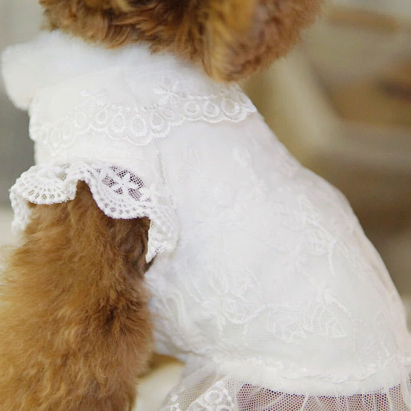 Winter Clothing Kids - Pakaian Anjing Putih Mantel Gaun Renda