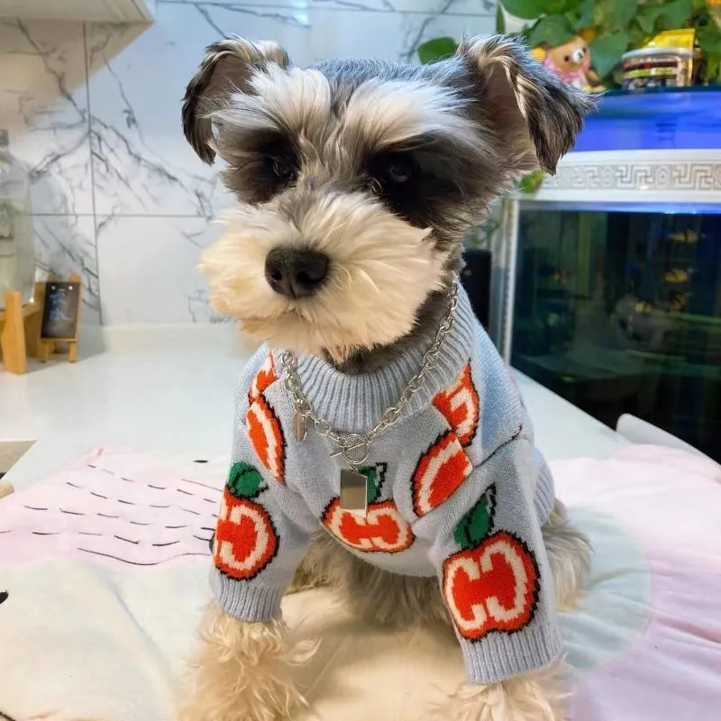 Baju Sweater Anjing Bahan Katu - Winter Clothing Kids ulasan dan harga
