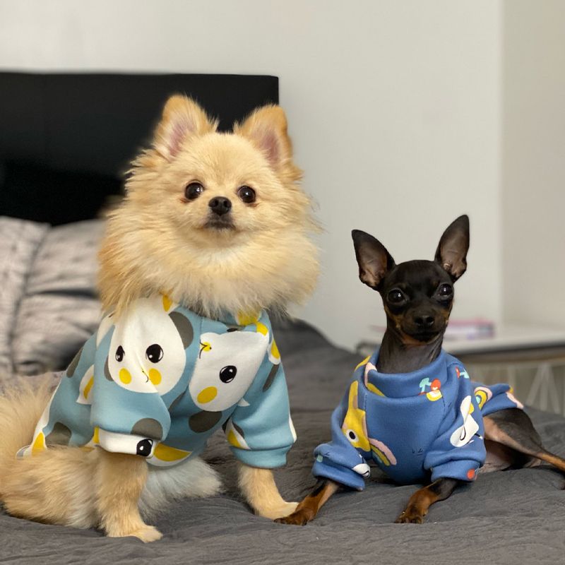 Pakaian Anjing Xs untuk Anjing - Winter Clothing Boys ulasan dan harga