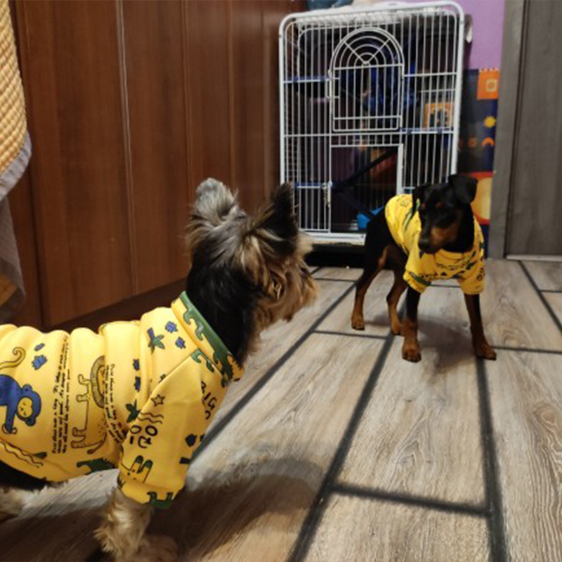 Pakaian Anjing Xs untuk Anjing - Winter Clothing Boys ulasan dan harga