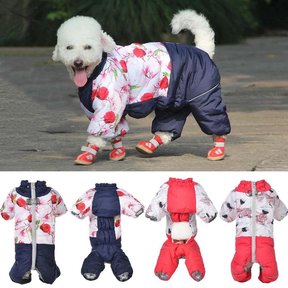Pakaian Musim Dingin Hewan Pel - Winter Clothing Boys ulasan dan harga